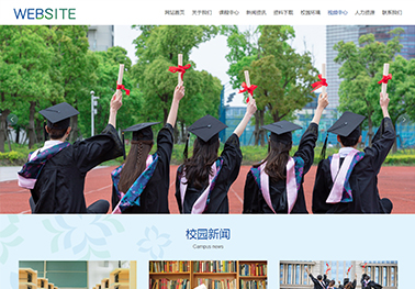 定制化网站建设