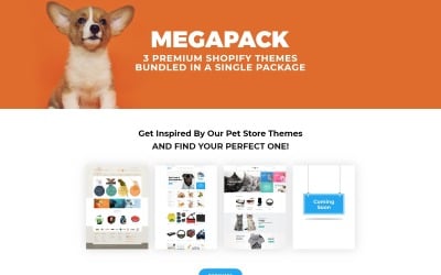 建设网站建站服务