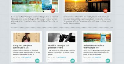 大连网站建设公司