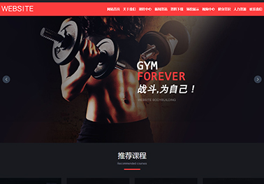 企业网站建设