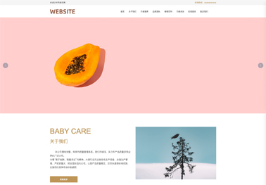 网站模板 企业建站