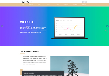合肥网站建设价格