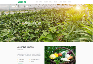 企业展示型网站