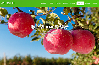 济南网站建设公司